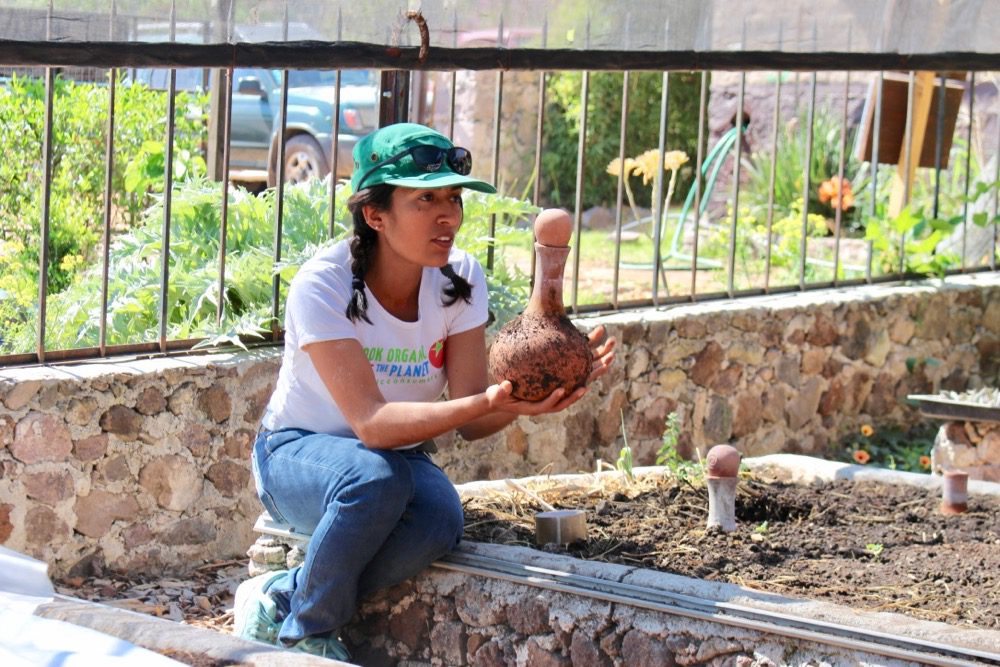 Azucena Cabrera Via Organica